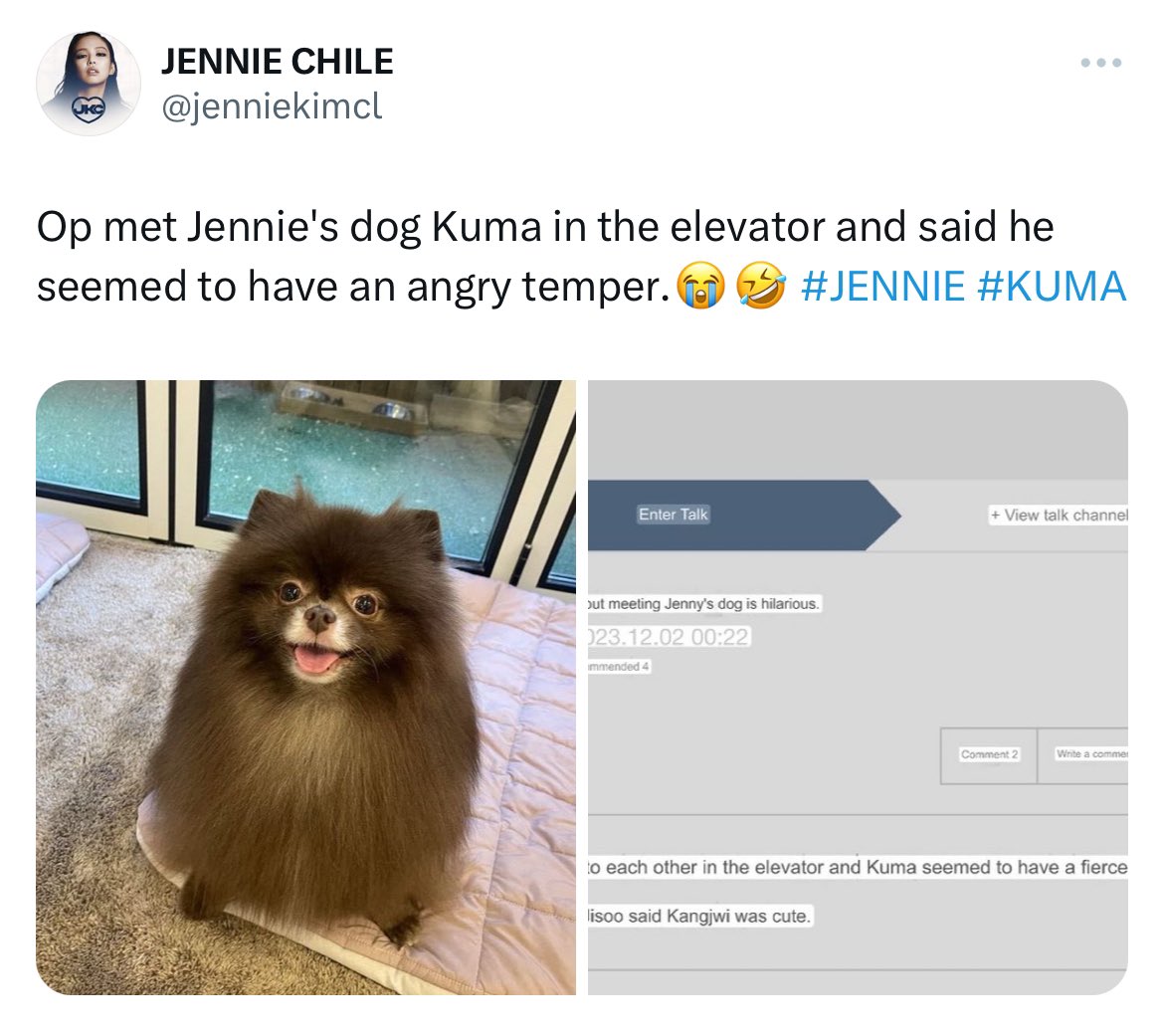 HourlyKuma's tweet photo. the allegations that been thrown at kuma these past few years

#1 D3ad allegation [DEBUT]
#2 Rude to fans allegation [+2]
#3 Gay allegation with Taeyeon’s dog ZERO [-2]
#4 Bullyin9 other dog at daycare allegation [+1]

@.oddatelier PROTECT YOUR ARTIST! 😔 https://t.co/kzRQr4DDqt