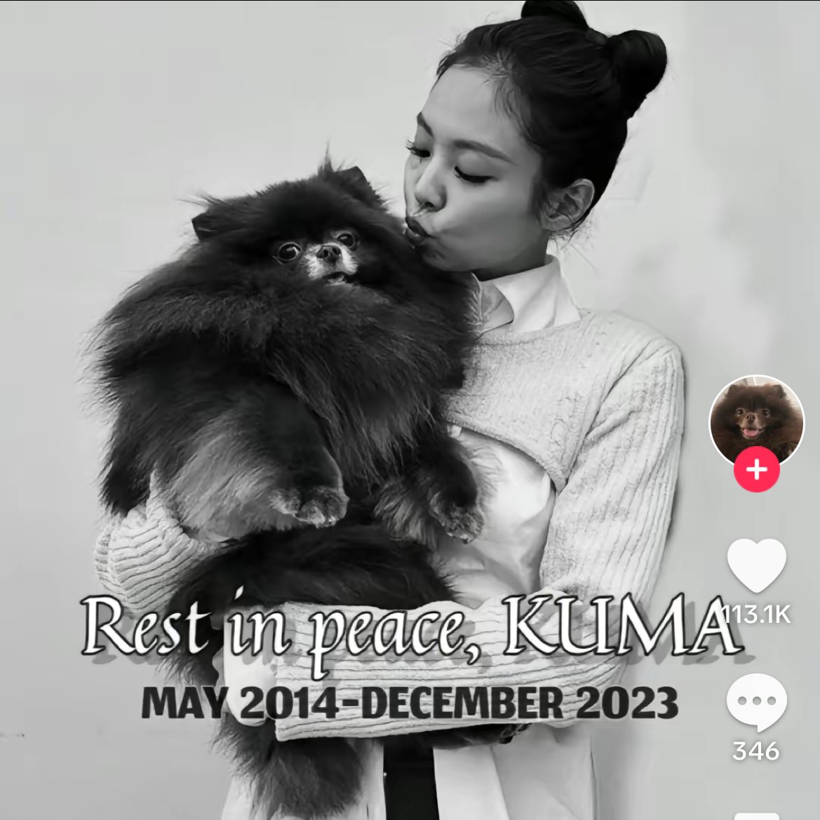 HourlyKuma's tweet photo. the allegations that been thrown at kuma these past few years

#1 D3ad allegation [DEBUT]
#2 Rude to fans allegation [+2]
#3 Gay allegation with Taeyeon’s dog ZERO [-2]
#4 Bullyin9 other dog at daycare allegation [+1]

@.oddatelier PROTECT YOUR ARTIST! 😔 https://t.co/kzRQr4DDqt