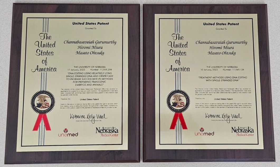 CRISPRGuru's tweet photo. I received these award-plaques recently, in a ceremony at my institute, for innovating a better CRISPR method called Easi-CRISPR.
See link for a short story of how it came to be.... https://t.co/5Uwo0uVv0V https://t.co/GcQIQPd0mf