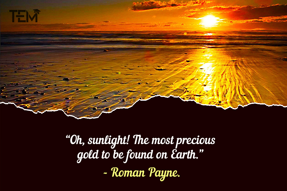 TheEducationMag's tweet photo. “Oh, sunlight! The most precious gold to be found on Earth.” – Roman Payne.

Read More: https://t.co/nt4kfWMVQ9

#sunrise #sunrisequotes #sky #sunquotes #motivation #newhopes https://t.co/6n2IXvaYSa