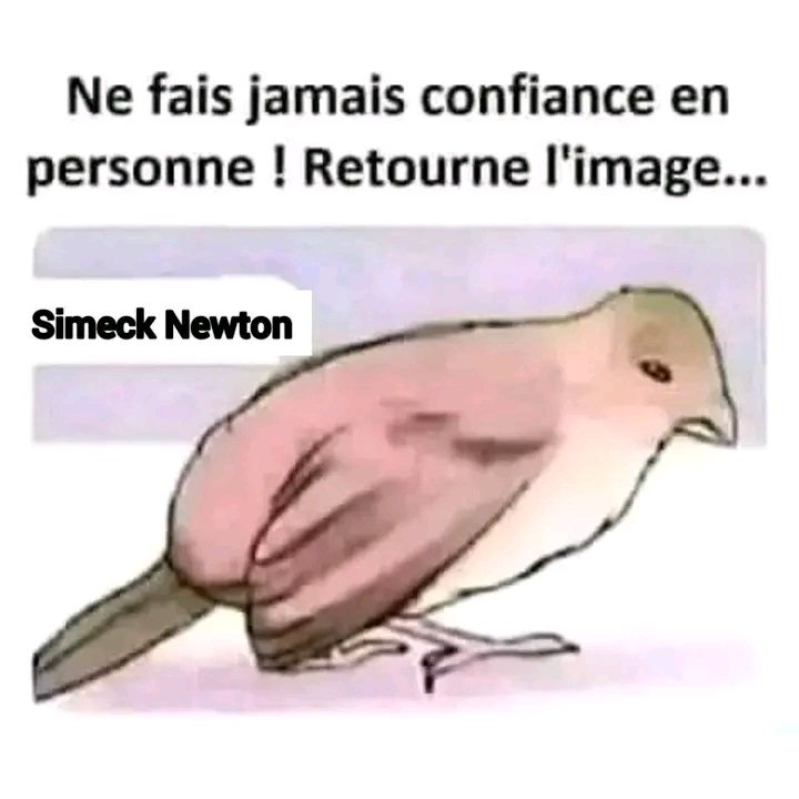 LeProblemes's tweet photo. J'ai dit à personne https://t.co/fpUJyR14x3