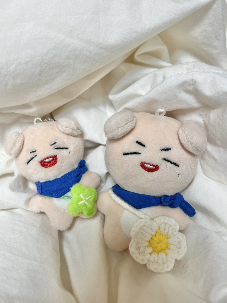 #우리집_루강지를_봐_대박임

귀어웅 루강지가왔어요🍀🐶