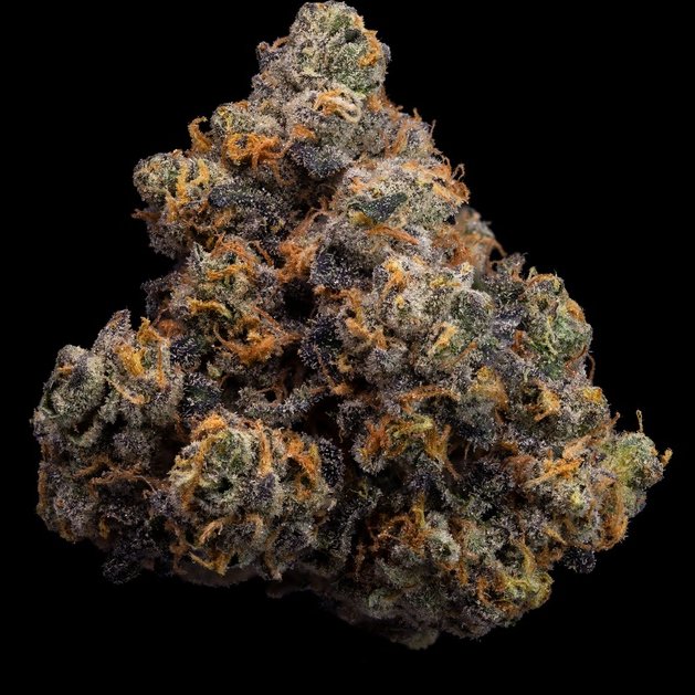 Gary Payton
#StonerFam #420Life #CannabisCulture #WeedLover #weedforsale #cannabisculture #cannabis #Cannabisforsale #onlythebest #bestcannabis #weed #marijuana #MMJ #Weedmob #Weedlovers #marijuana
