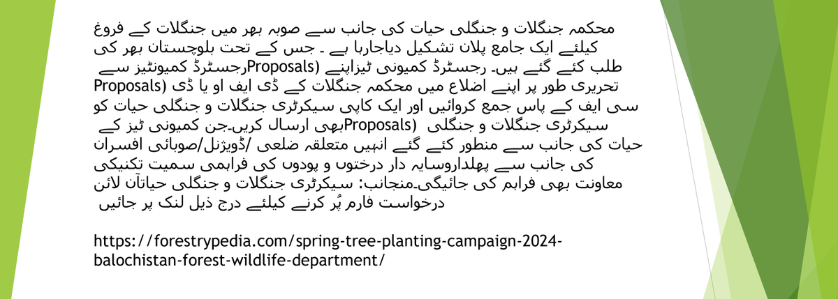 forestrypedia.com/spring-tree-pl…