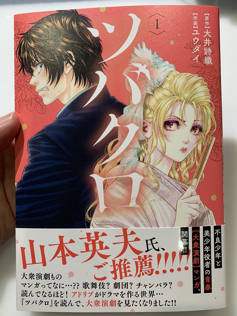 最近読んだ漫画「ツバクロ」  なかなか見ないジャンルなので新鮮でした