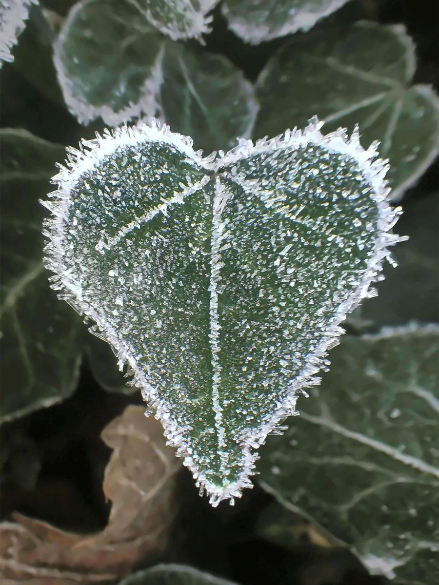 2023ün son günlerine günaydın💚
