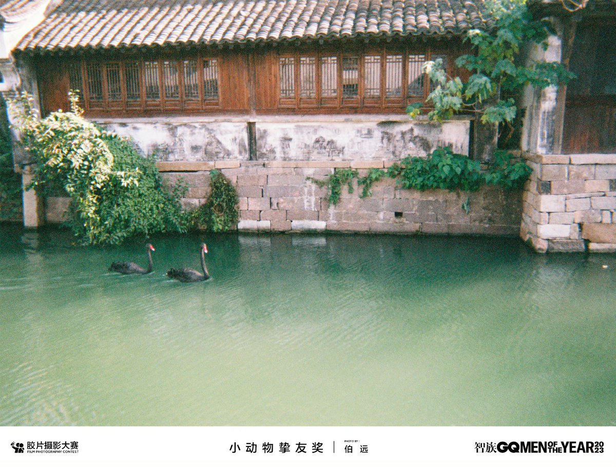 realTangBoYuan_'s tweet photo. 【20231228 | 智族GQ 】

รวมภาพถ่ายฝีมือของป๋อหย่วน ในงาน #GQMOTY2023 ได้รับรางวัล Little Animal Best Friend Award (P1) และ Master of Landscape Photography Award จาก GQ China(P2-4)

🔗https://t.co/ZNmTL0bnEc
🔗https://t.co/zo7B0UKjxZ

#伯远 #BoYuan #ป๋อหย่วน https://t.co/33vNTXgRbK