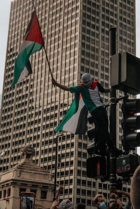 Naila_Ayad's tweet photo. Once you comment "Free Palestine", you are proving your humanity. https://t.co/fd5qXyck4N
