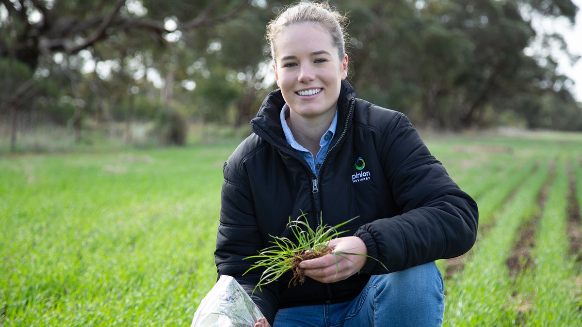 GRDC tweet media