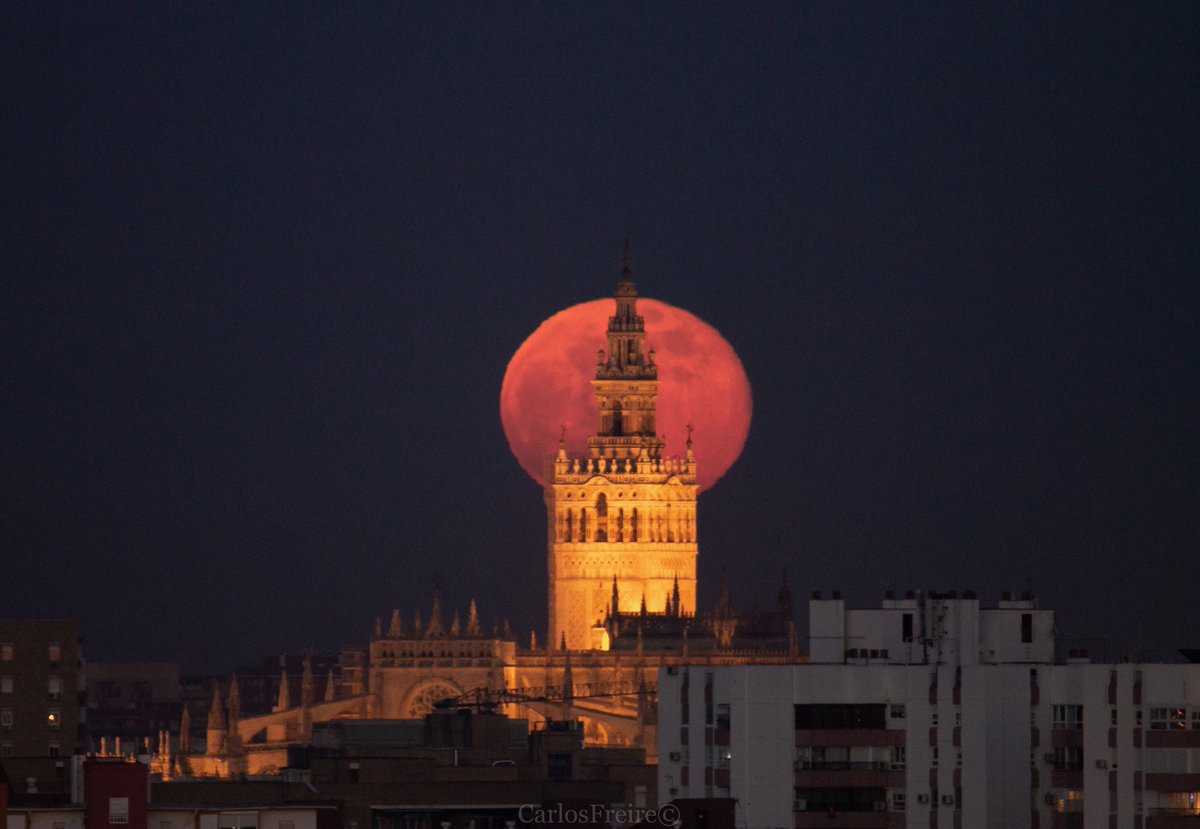 Última #LunaLlena del año con La Giralda de Sevilla.
Quería "volver al ruedo" y creo que la mejor forma era esta.