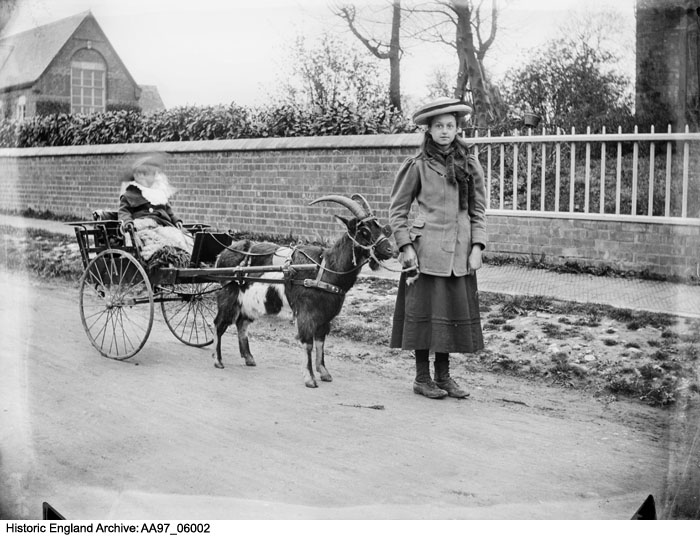 Goat pubs, goat streets, goats in churchyards...

We've got goats galore in the HE Archive. Go(at) take a look👇
historicengland.org.uk/images-books/p…

#GoatsInArchives
#ArchivePhotography
#Goats