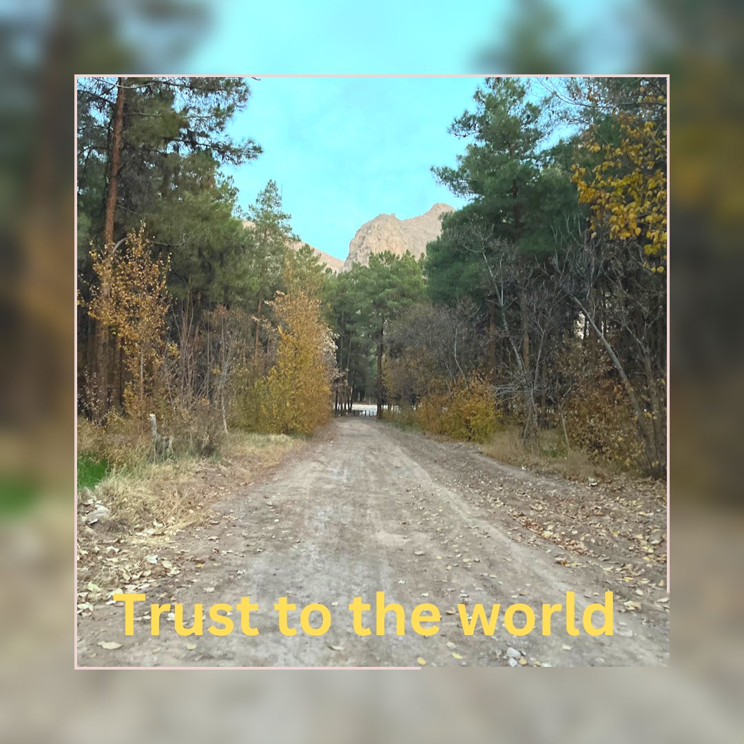 hak_carpet's tweet photo. Trust to the world and learn about all of calamity that you had.
#trust 
#world
#calamity https://t.co/g0NNLkPvh5