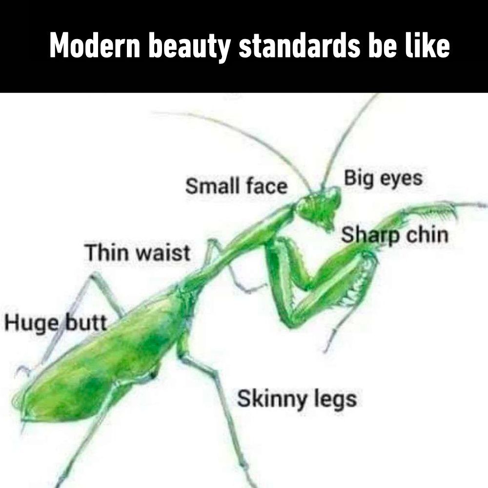 screw these, you're beautiful the way you are