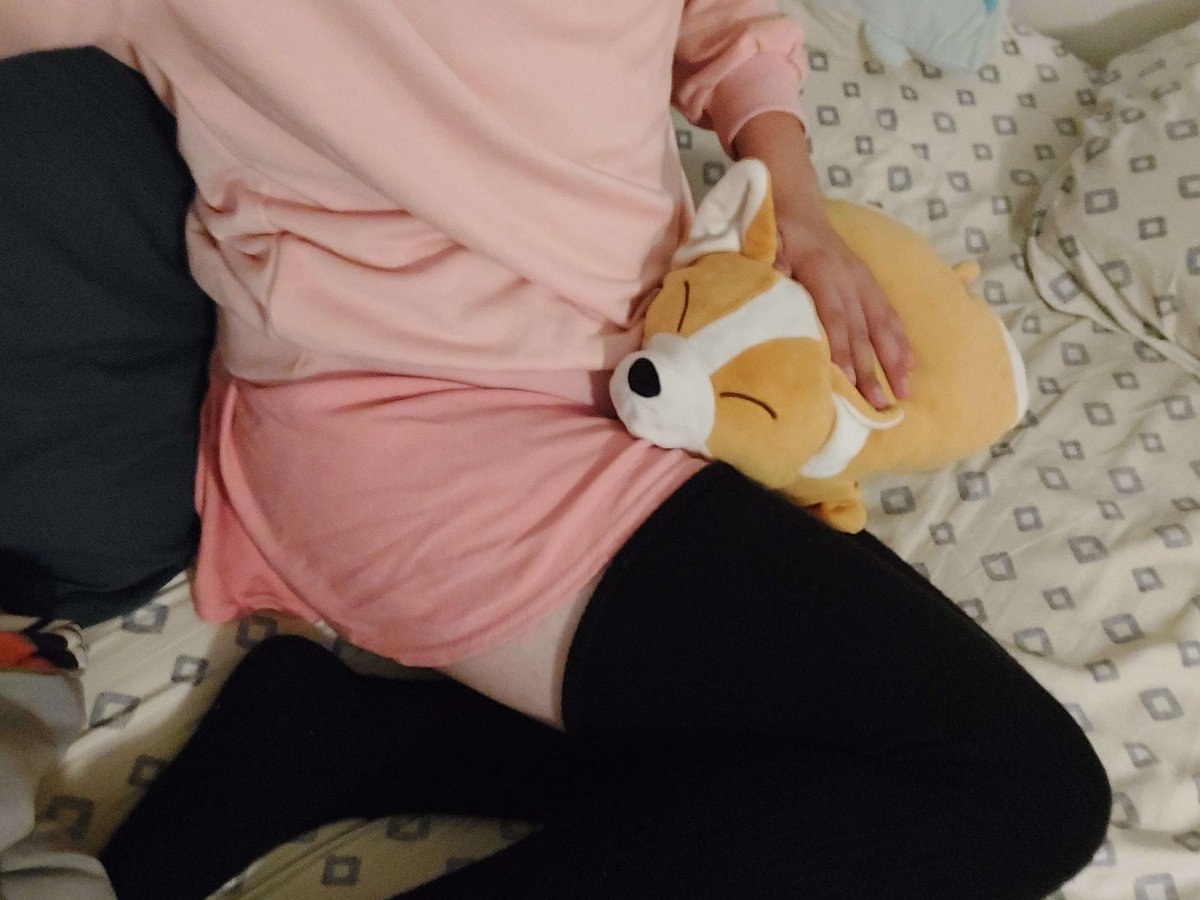 Sealson1's tweet photo. I like Corgis ☺️ https://t.co/V5Acmet6Cz