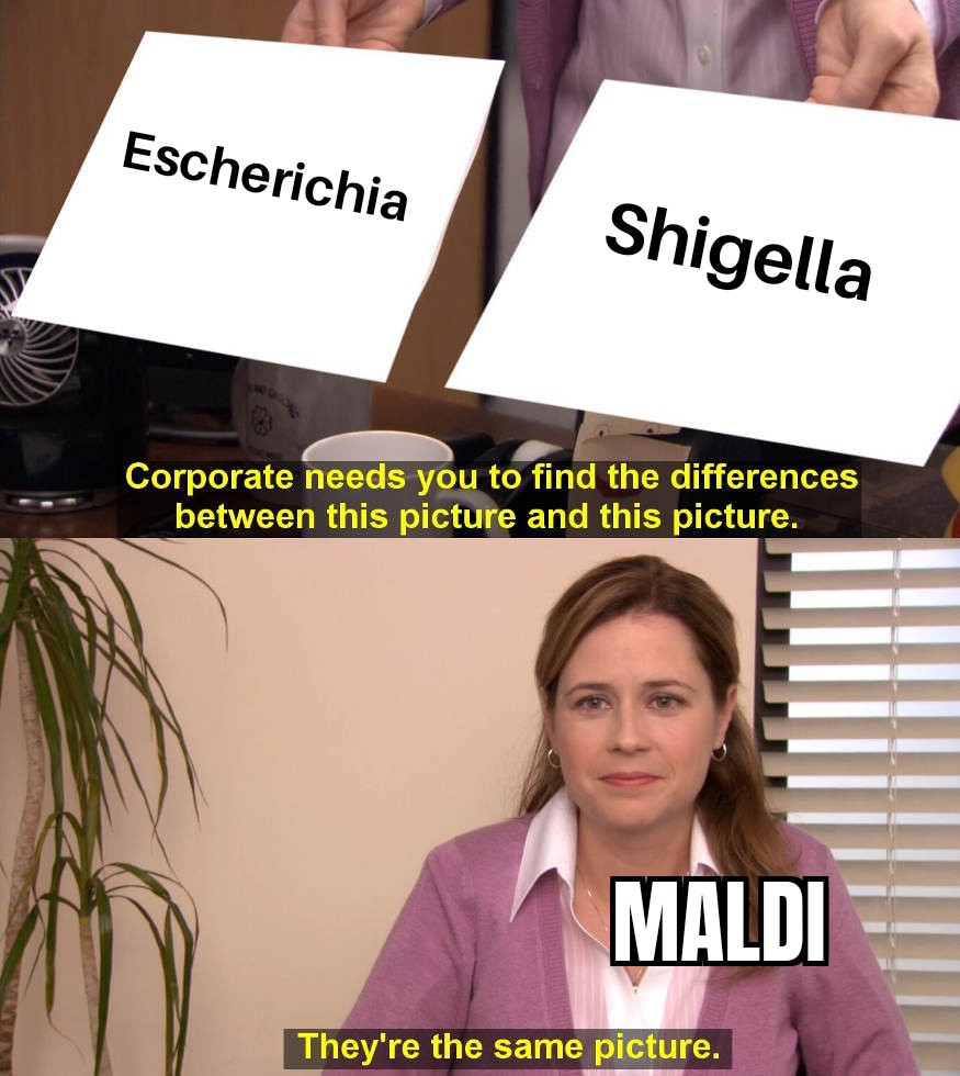 memecrobiology's tweet photo. #malditof #microbiology #memes https://t.co/K2ODSduVxZ