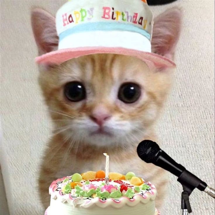 jangkpujin's tweet photo. @NMIXXlES Happy birthday, Bae unniee! May your day be filled with love, laughter, and all the adorable moments that make your heart dance. 🎈

HAPPY BAE DAY
#쏟아진_배이생일_반짝거림속 
#OurSolshineDay
#HAPPY_BAE_DAY https://t.co/AObCUFWwIN