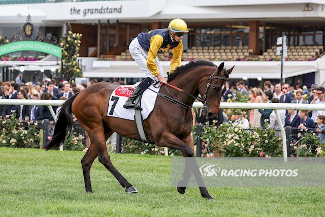 Rohan Hughes (@rohanjhughes) on Twitter photo Our beautiful and most elegant mare Vespertine was officially retired today. Both a Stakes winner and Stakes placed she matched gorgeous good looks with talent, toughness and soundness. She will no doubt make into an outstanding Broodmare. Thx to <a href="/Grahame_Begg/">Grahame Begg Racing</a> and all the staff Our beautiful and most elegant mare Vespertine was officially retired today. Both a Stakes winner and Stakes placed she matched gorgeous good looks with talent, toughness and soundness. She will no doubt make into an outstanding Broodmare. Thx to <a href="/Grahame_Begg/">Grahame Begg Racing</a> and all the staff