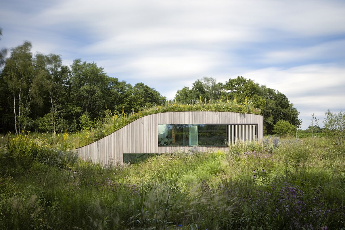 The House Under the Ground is a Dutch home surrounded in wildflowers and green meadow trib.al/QaRdXrn