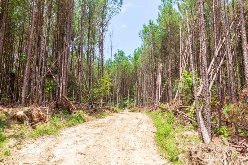 land_listings's tweet photo. Lexington, TN | $84,990 | 17.48 Acres | Whiskey Ridge's Gem: Tract 104 Offers a World of Possibilities https://t.co/JGXDIbJMPE #Tennessee #residentialproperty #buyland #build #acre #realestate #land #cheapland #investing #land https://t.co/q9J9dHbM62