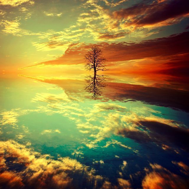 noveliciouss's tweet photo. Trees are poems the earth writes upon the sky, We fell them down and turn them into paper,
That we may record our emptiness
KGibran
#writing https://t.co/qApIoQaN4M