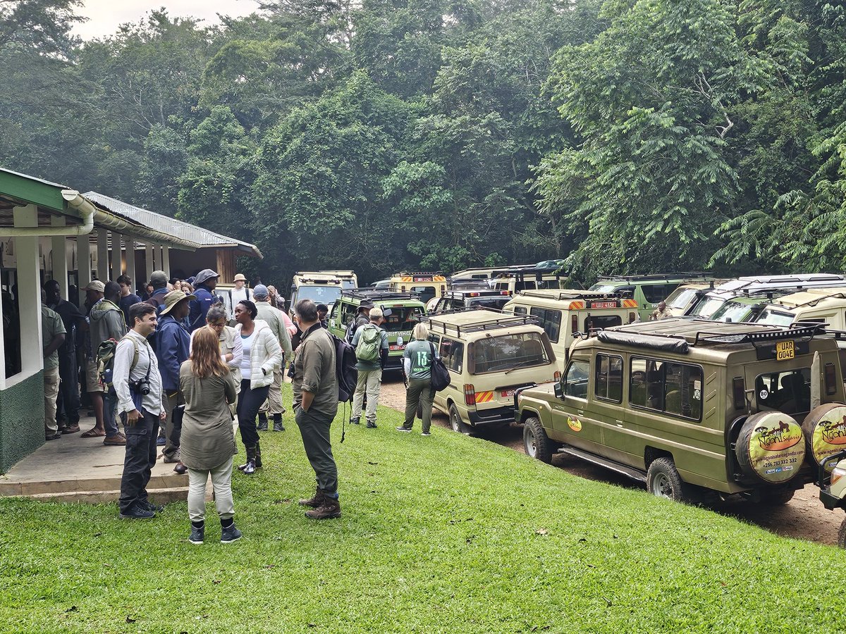 MauriceMugisha's tweet photo. 8.00AM 

Full House in Kibale National Park this morning. Glad to see hundreds of tourists in the park despite the advisories. #ExploreUganda https://t.co/SCgXxbVrcu