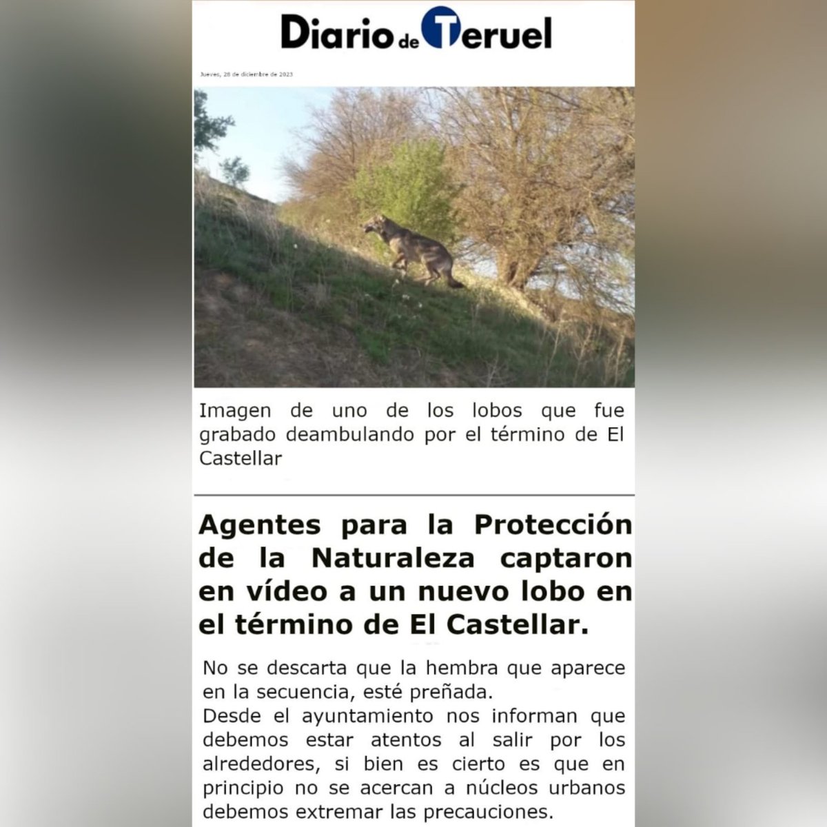 el_castellar's tweet photo. https://t.co/hf6CzNXTby
