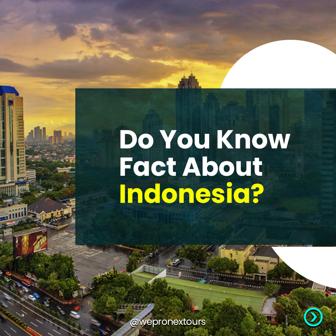 Wepronex Tours & Adventures tweet media