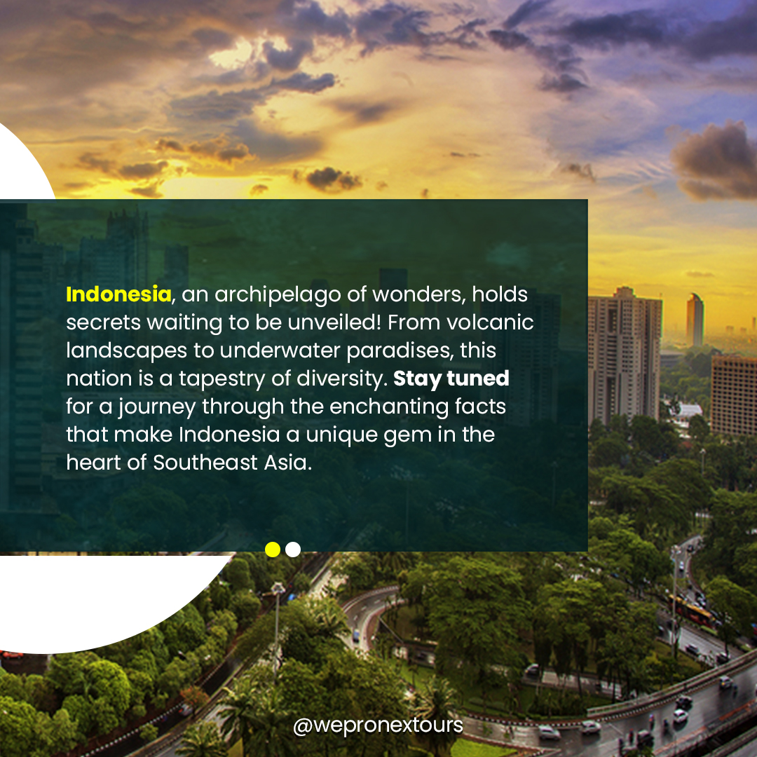 Wepronex Tours & Adventures tweet media