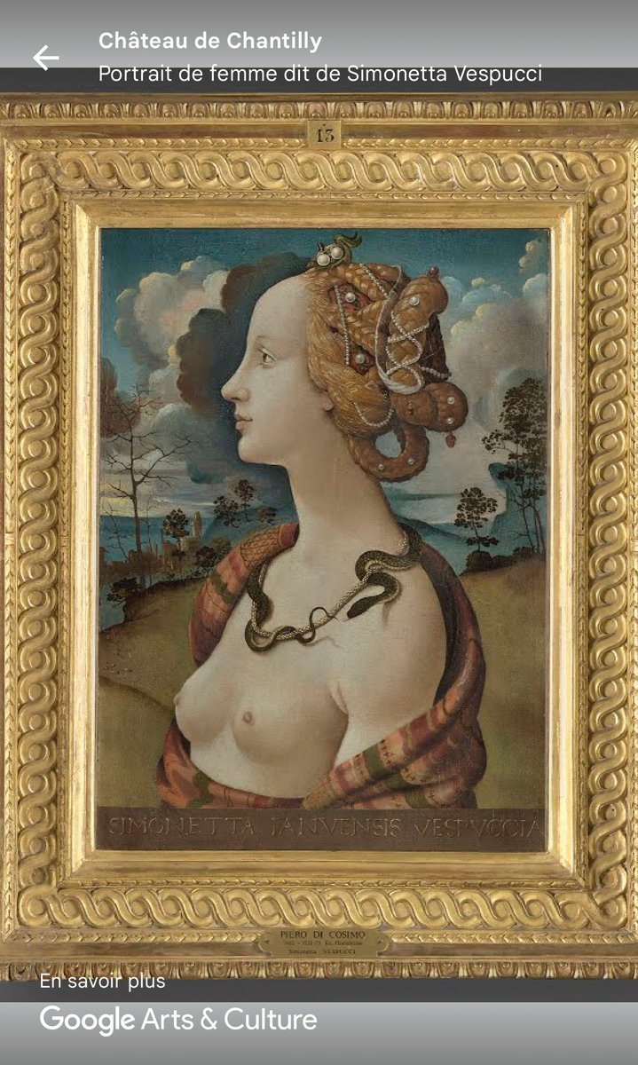 LutetiaBlog's tweet photo. @bwallower Simonetta Vespucci par Piero di Cosimo au château de Chantilly @CdeChantilly https://t.co/2CV17Vw7Ra