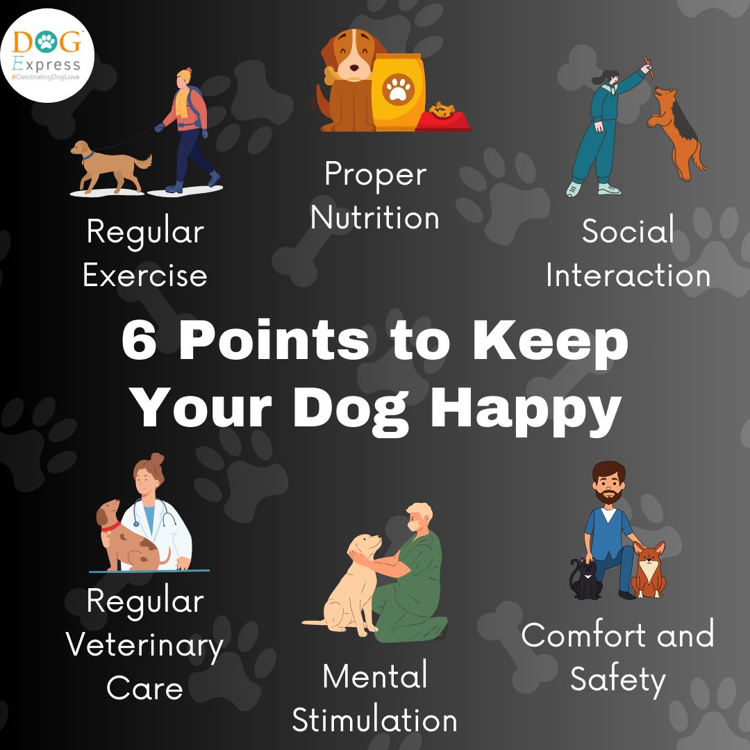 6 Points to Keep Your Dog Happy 🐾🐶🐾

#Dogexpress #Doglovers #Dogowners #dogexpressions #doglife #dogsofinsta #dogsofinstgram #regularexercise #propernutrition #socialinteraction #regularveterinarycare #mentalstimulation #ComfortAndSafety
