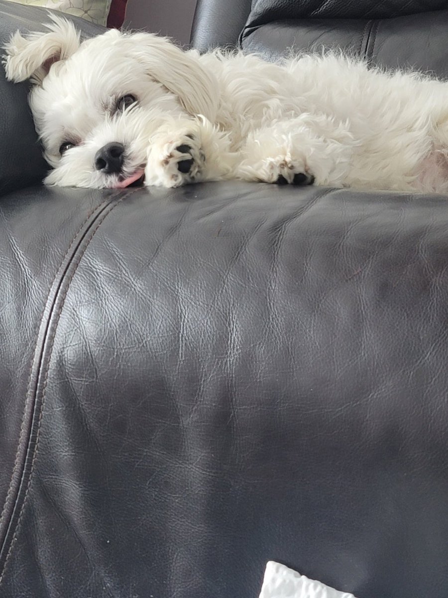 enhypenweverse's tweet image. [ #정원's Post ] 231228

#JUNGWON: Puppy

@ENHYPEN_members @ENHYPEN #ENHYPEN #엔하이픈