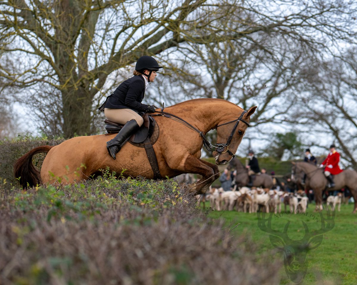 lurcherwork's tweet photo. #boxingdaymeet with the Surrey Union #followhounds #keephunting #houndsports #trailhunting https://t.co/e2DlX6pzsQ