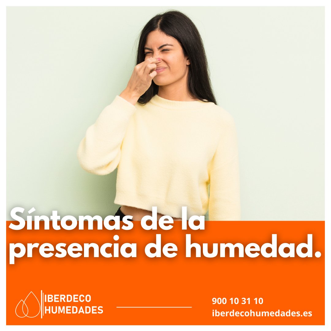 Iberdeco Humedades tweet media