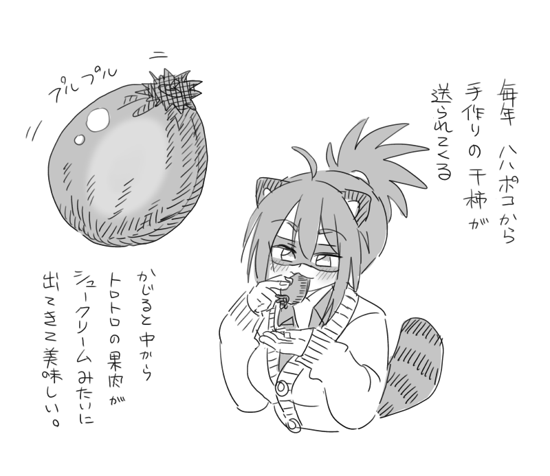 1229 干し柿