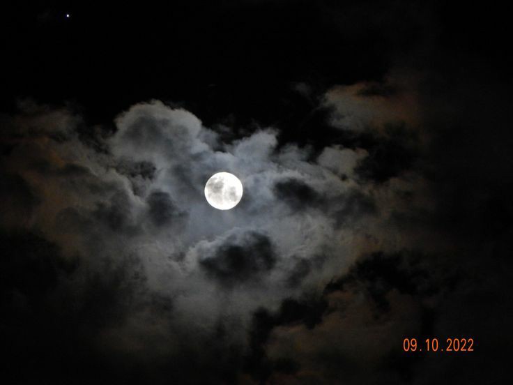 isaac !! ❁ tweet media