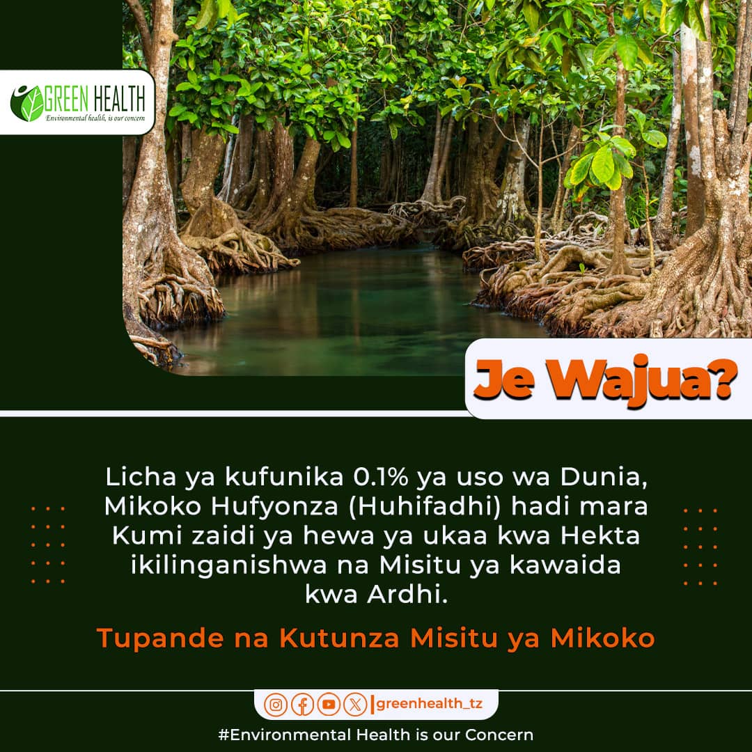 greenhealth_tz's tweet photo. Fahamu ya kwamba Mikoko ina uwezo wa ajabu wa kufyonza na kuhifadhi hewa ya ukaa nyingi zaidi kwa kila eneo kuliko mfumo mwingine wowote wa kiikolojia Duniani.
Epuka kukata na kuchafua mikoko na 
hakikisha  mikoko inatumika kwa njia endelevu.
#tunzamikoko #punguzahewaukaa https://t.co/s8eAzkQB9E