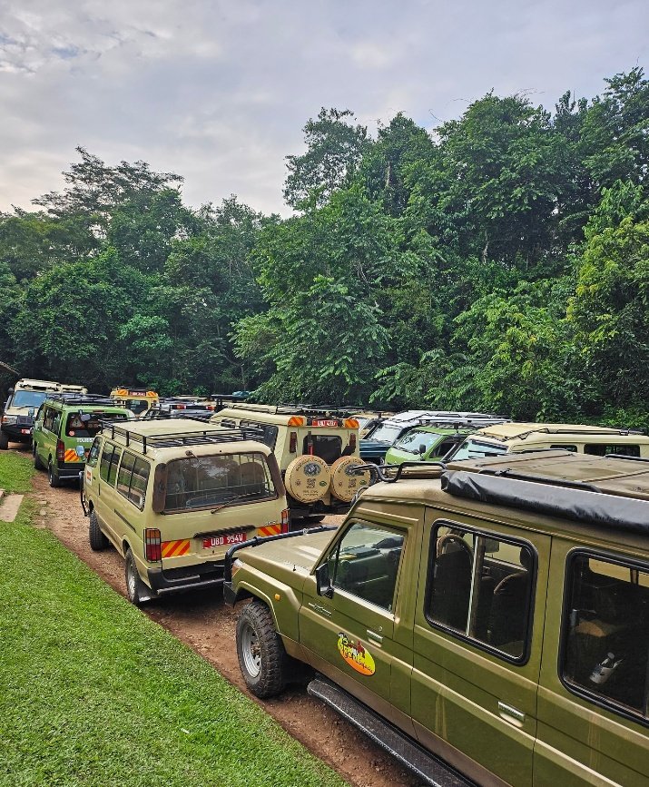 Foreign advisories on Uganda have not affected our tourism as was expected by the enemies of Uganda's progress. Uganda is safer than you thought.
#VisitUganda #ThePearlOfAfrica