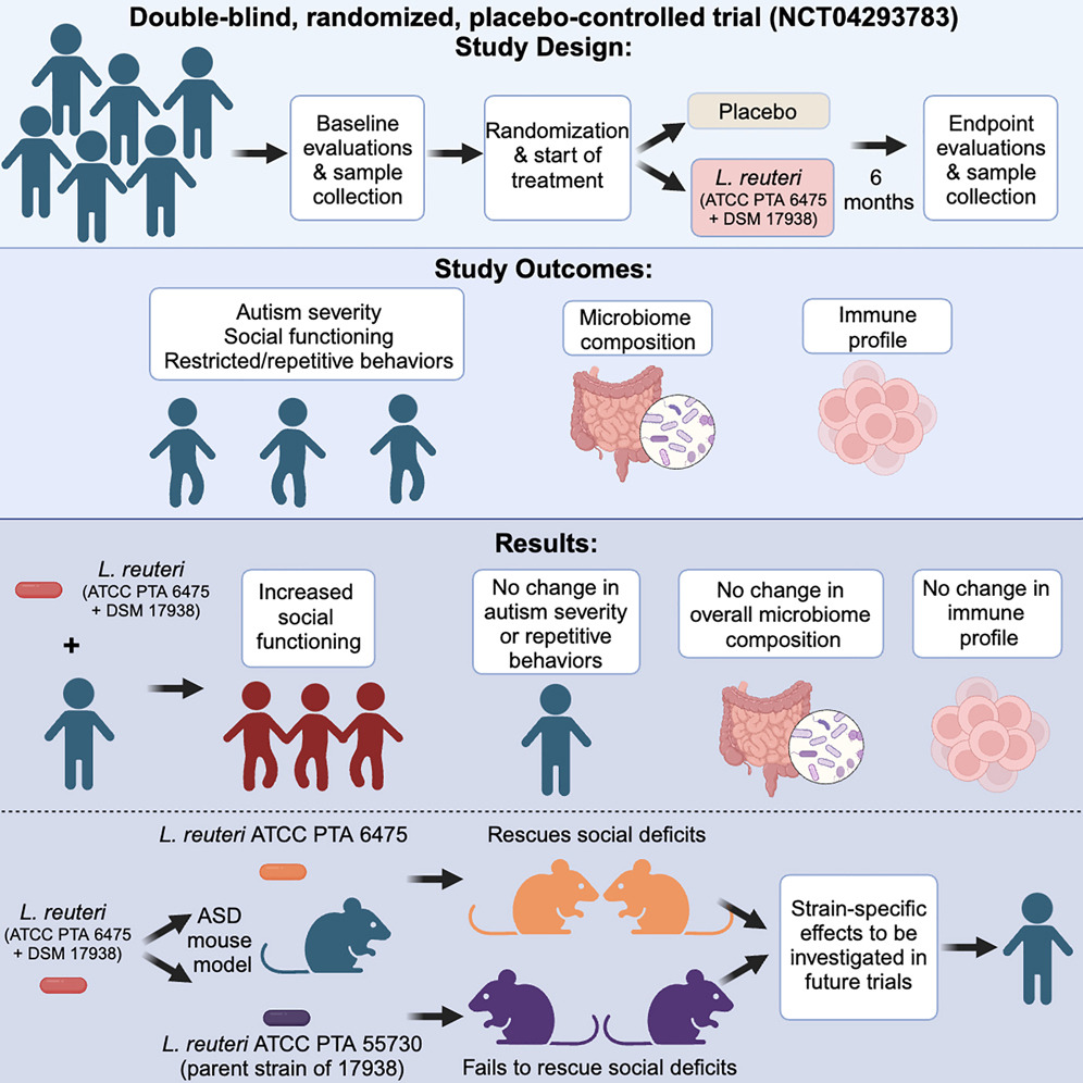 GutMicrobiota Health tweet media