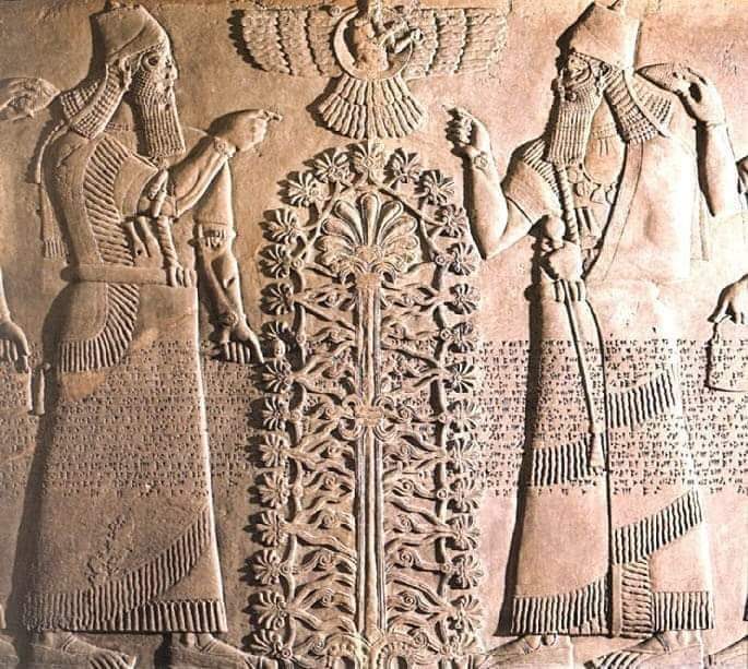archeohistories's tweet photo. Assyrian Wall Relief (865 BC), of the 'Tree of Life' (Sacred Tree), showing the King tending to it, guided by winged spirits and god Ashur above.

King Ashurnasirpal appears twice, dressed in ritual robes and holding mace symbolizing his authority. King stands in front of a Sacred Tree, possibly symbolizing life. Protective spirits are shown on either side behind King.

King Ashurnasirpal is making gestures of worship to a god in a winged disc. God, who may be sun god Shamash, has a ring on one hand; this is an ancient symbol of god-given kingship.

This symmetrical scene was placed behind royal throne of the King’s Palace in Nimrud (now in modern-day Iraq). There was another panel relief opposite main door of the throne room, and similar scenes occupied prominent positions in other Assyrian palaces.

Traces of color pigment was found on sandals at time of excavation, consisting of red soles and black uppers.

British Museum

- Subscribe for Weekly Newsletter -
https://t.co/QSjn4yGpeh

#archaeohistories