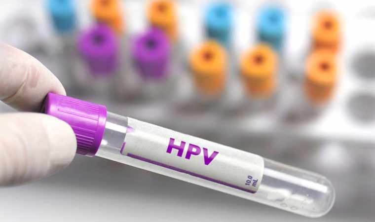 HPV aşısı: Rahim ağzı kanserine karşı nasıl koruma sağlıyor?

cine1haber.com/hpv-asisi-rahi…

#HPV #HPVVaccines #RahimAğzıKanseri #humanpapillomavirus #sağlık #güncel #virüs #CİNE1 #cine1haber #cine1habersağlık