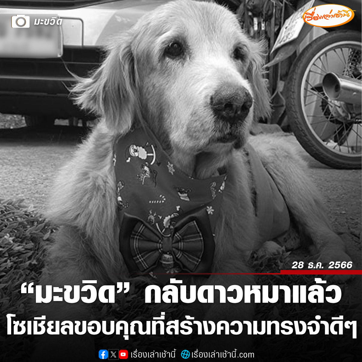 MorningNewsTV3's tweet photo. เพจเฟซบุ๊ก มะขวิด ได้โพสต์ภาพพร้อมระบุข้อความว่า วันเเรกที่มาอายุแค่ 28 วัน ต้องนอนในมือถึงยอมหลับ วันสุดท้ายของมะขวิดได้หลับในมือป๋าอีก พี่มะขวิดเป็นหมาที่เข้ามาเปลี่ยนชีวิต ได้พบปะสังคมคนรักสัตว์ ได้มีกัลยาณมิตรมากมาย ได้สร้างประโยชณ์ ช่วยสังคมสัตว์จร ไปไหนก็มีเเต่คนรักคนเอ็นดู วันนี้พี่มะขวิดจากไป แต่ขอฝากความทรงจำดี ๆ ไว้ในใจของพี่ ๆ นะครับ
.
ซึ่งจากโพสต์ดังกล่าวโซเชียลแห่อาลัย "มะขวิด" กันเป็นจำนวนมาก 

#เรื่องเล่าเช้านี้ #ข่าวช่อง3 #ข่าวโซเชียล #มะขวิด