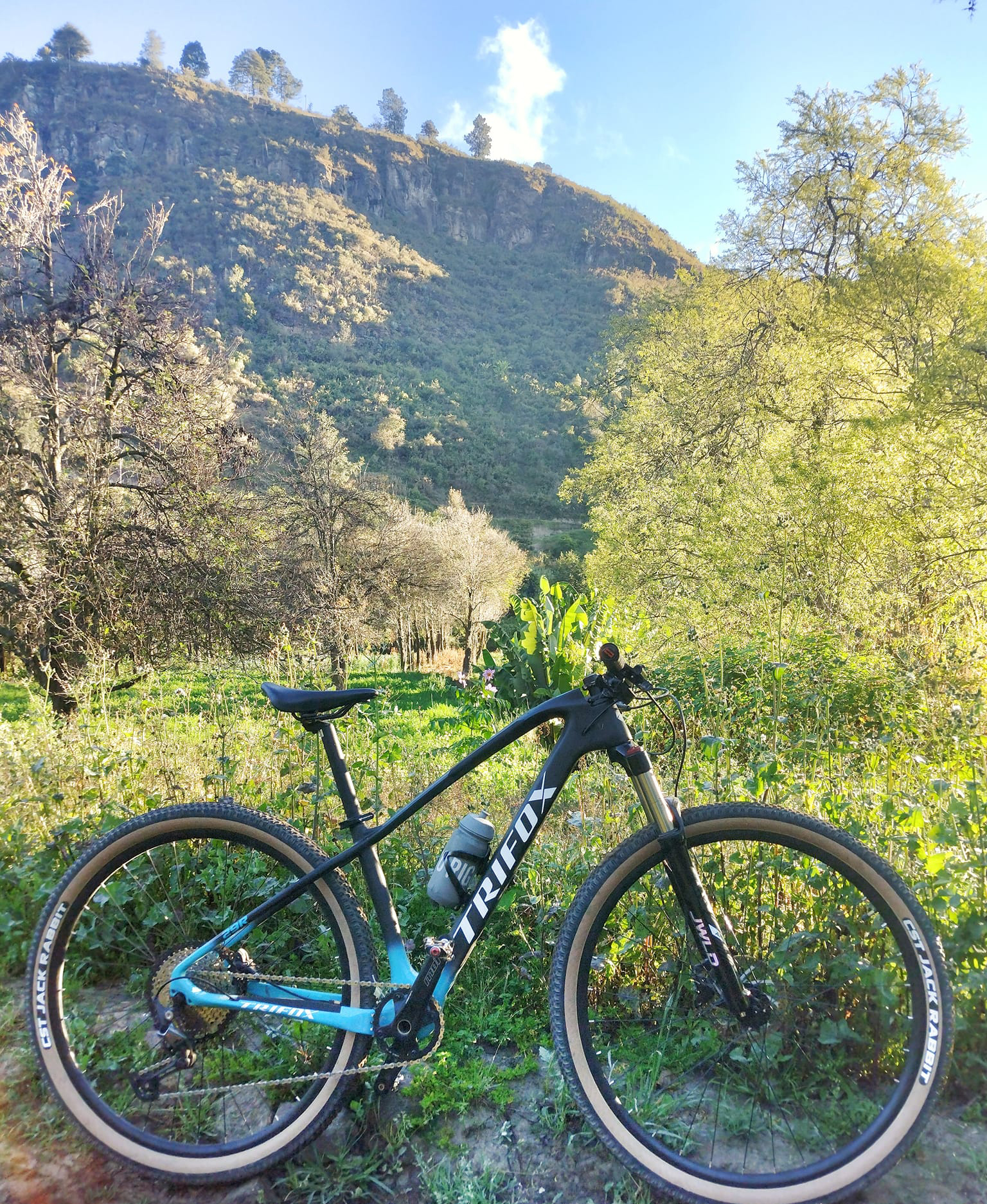 Trifox mountain bike new arrivals