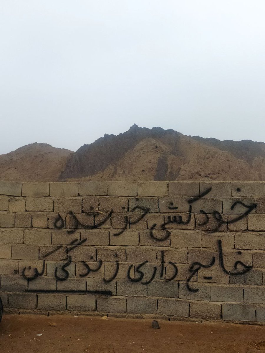 MSTimar's tweet photo. رویت شده در بیابان رضاآباد🤪 https://t.co/06pqPEB0a0