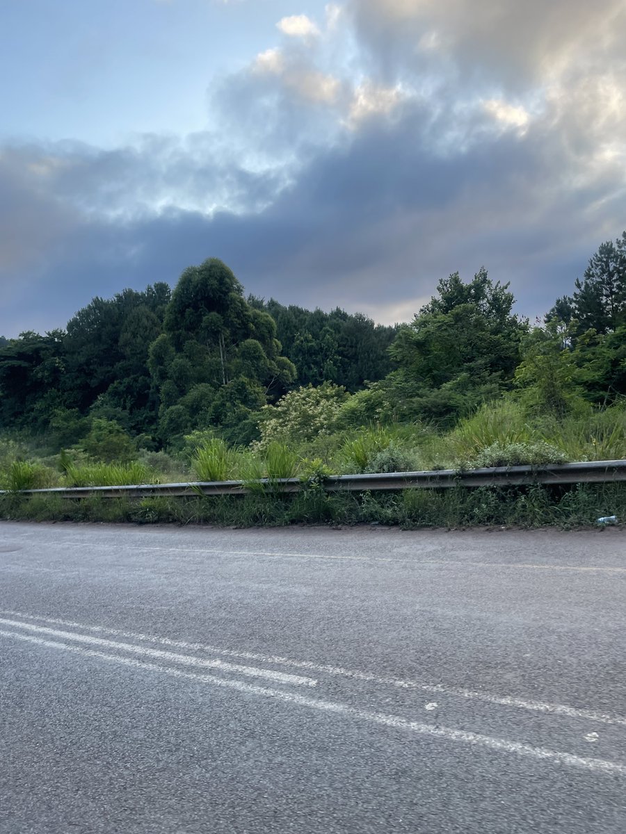 _intore's tweet image. Ride Venda.