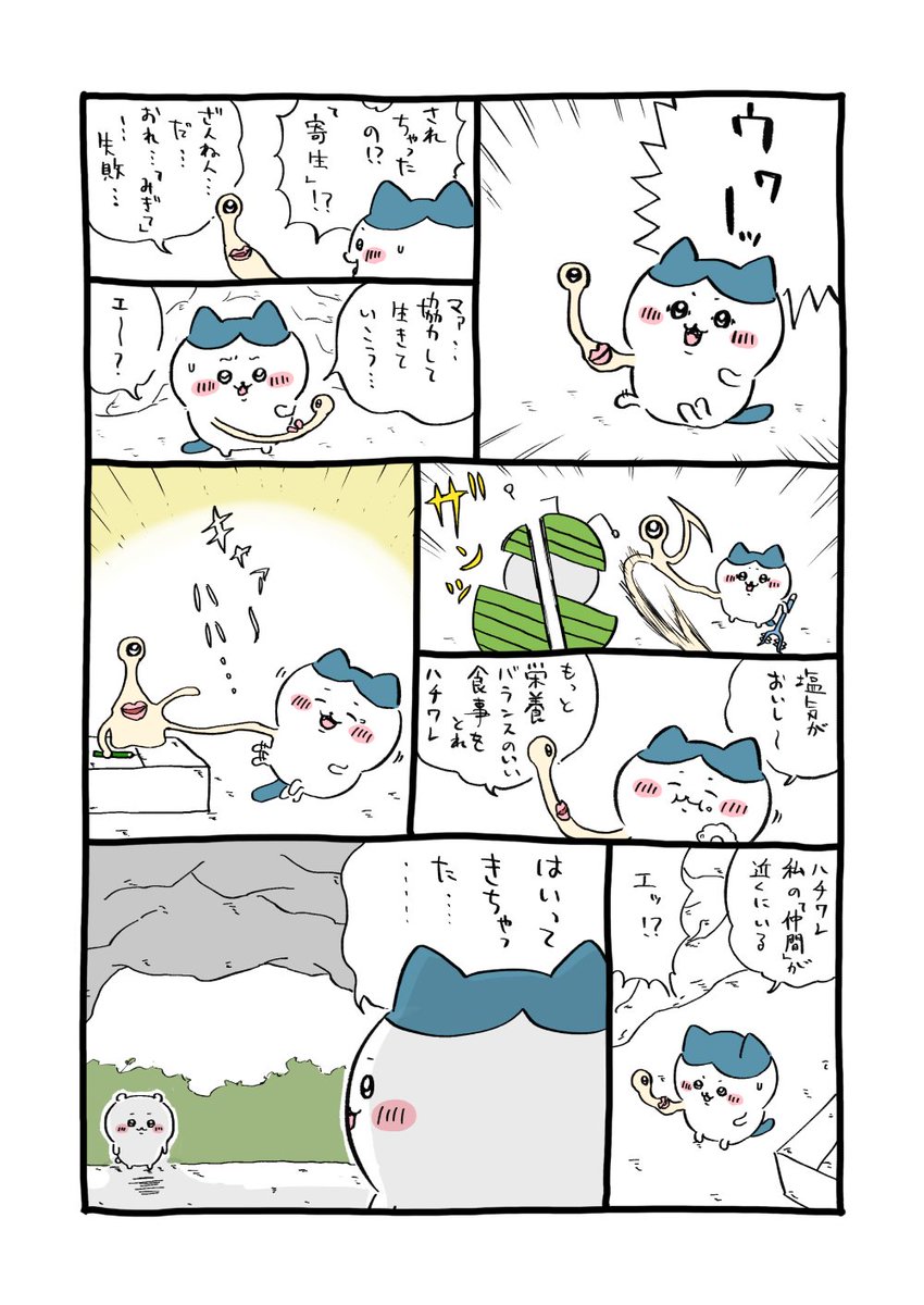 DUMOMON's tweet photo. 12月31日、コミックマーケット103 東地区 “Ｙ” 46b「づももん出版」にて「ちい獣」まとめ本を配布します
B5のフルカラー、本文28Pで1200円を予定しています
描き下ろしも頑張ったのでよろしくお願いします https://t.co/Vyhx0ZWAWn