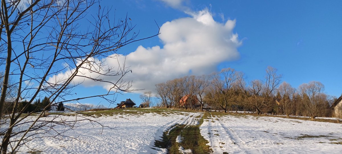 Pg355Piotr's tweet photo. #smerek #bieszczady @MeteoprognozaPL https://t.co/YcRFxlJUyE
