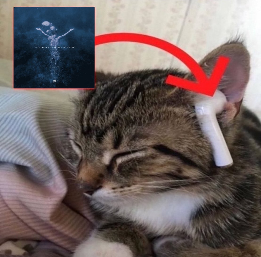 TEETHOFG0D's tweet photo. me, if you even care https://t.co/PkuRdXkLi4
