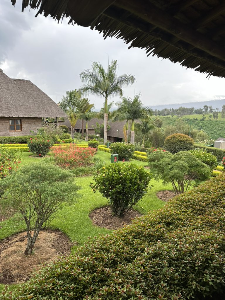 Laatste dag @NeptuneHotels Ngorongoro crater 👌🏻