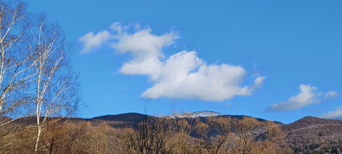 Pg355Piotr's tweet photo. #smerek #bieszczady @MeteoprognozaPL https://t.co/A4DTXIu7g4