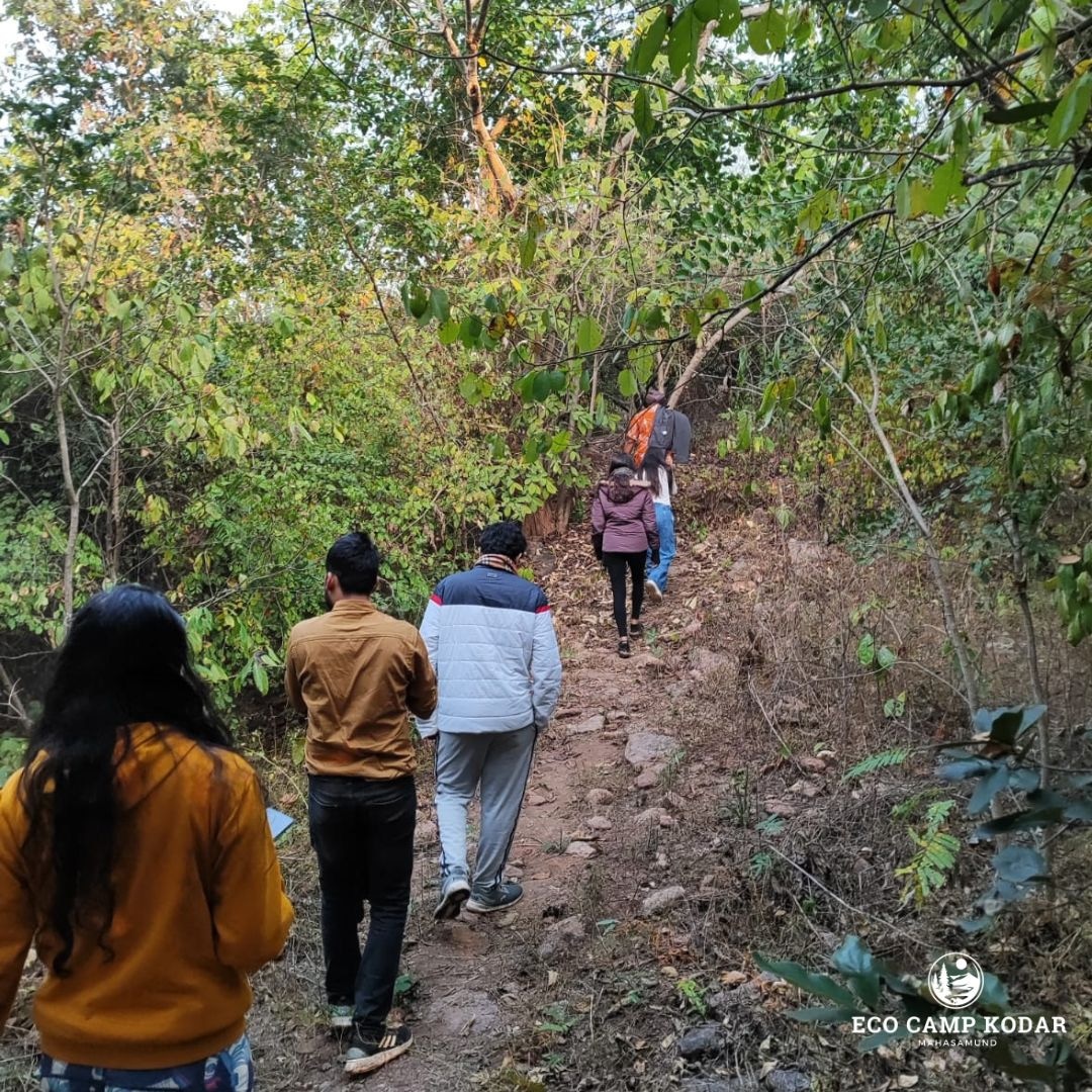 Eco Camp Kodar tweet media